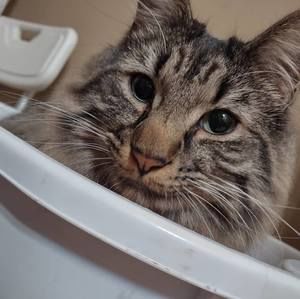 Meet your Posher, Abigail